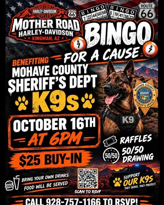 Bingo For A Cause event flyer