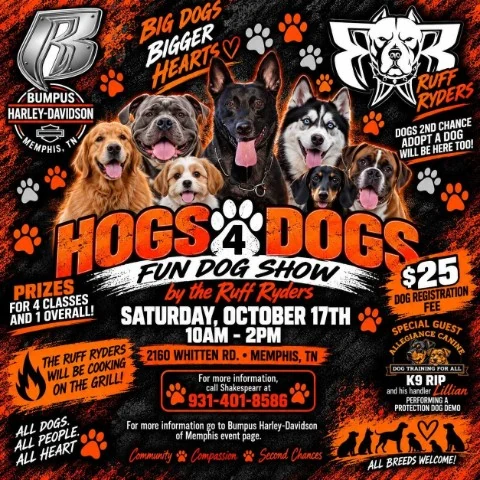 Hogs 4 Dogs event flyer